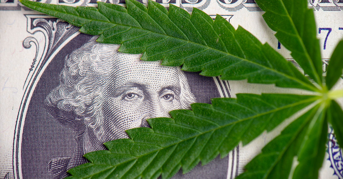 Is the Cannabis Industry Worth Investing In?